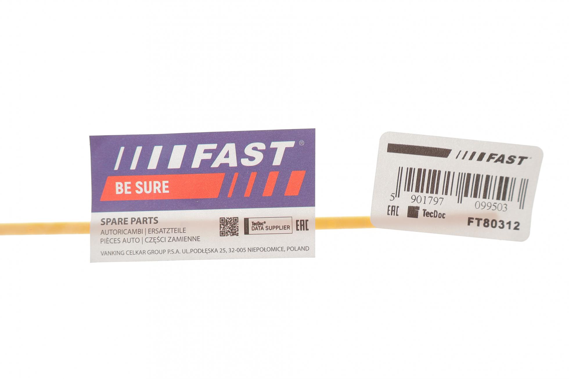 FT80312 FAST