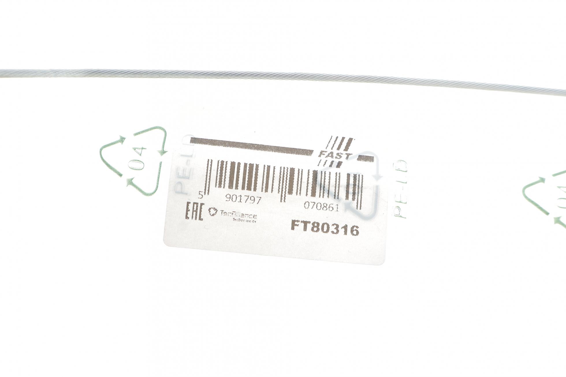 FT80316 FAST