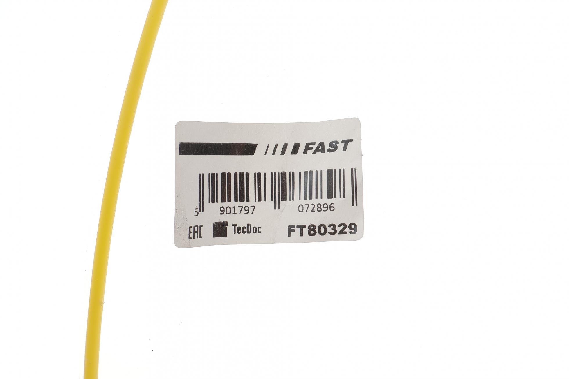 FT80329 FAST