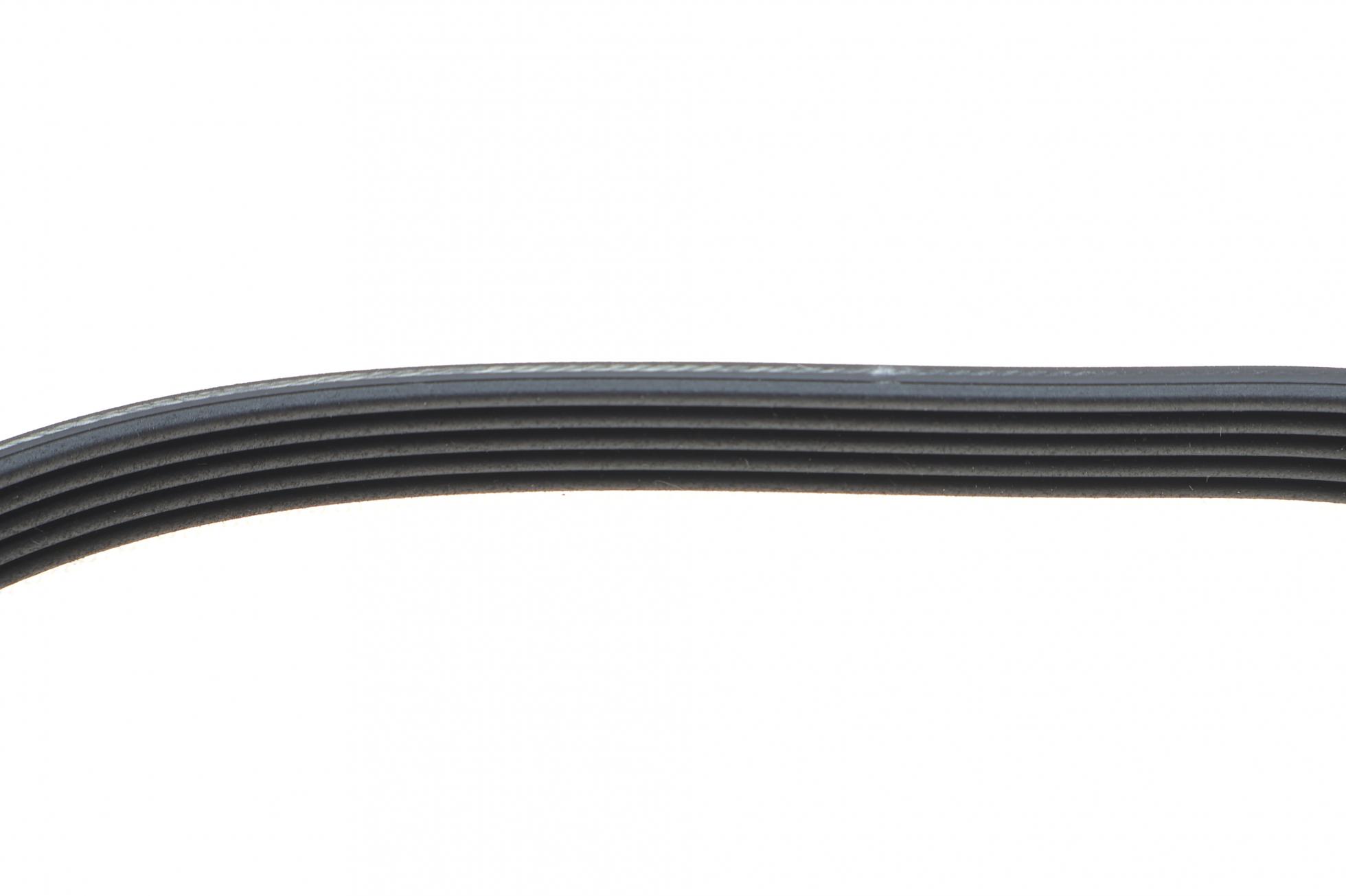 KPV964 DAYCO