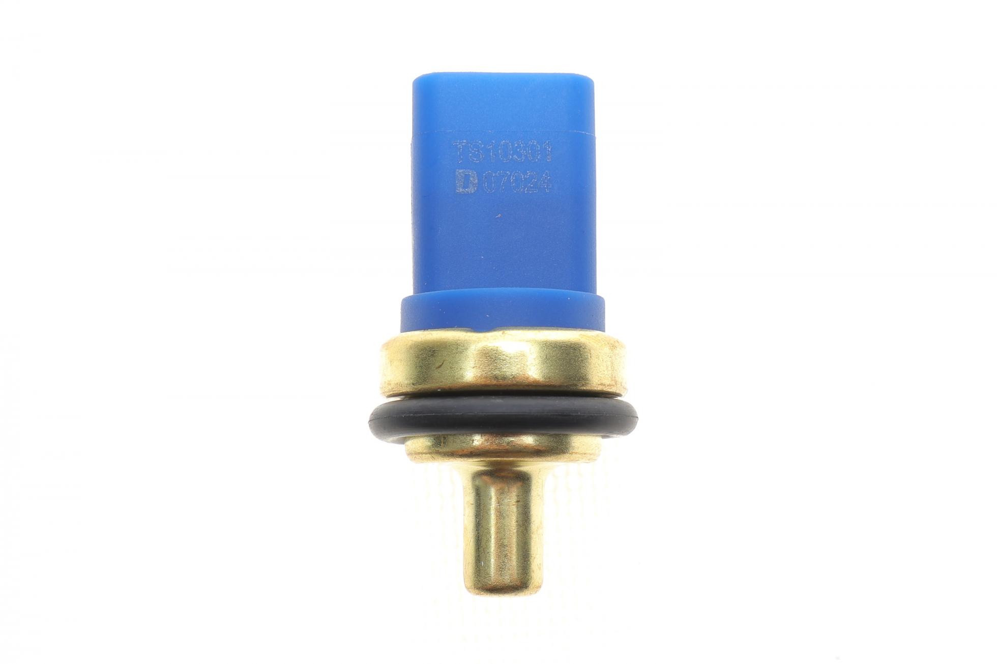 TS10301 DELPHI