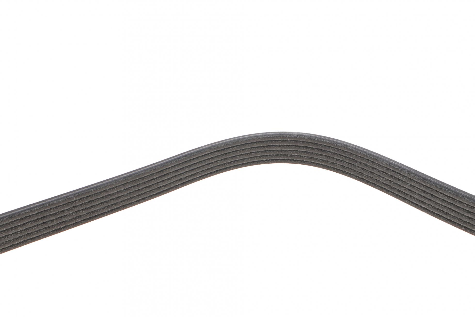 6DPK1188 DAYCO