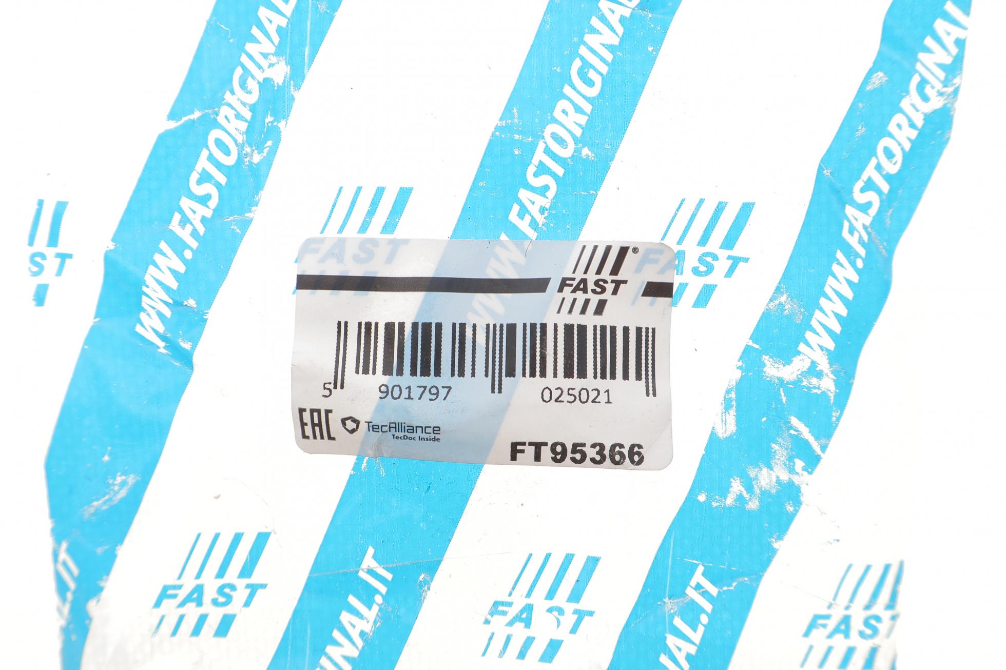 FT95366 FAST