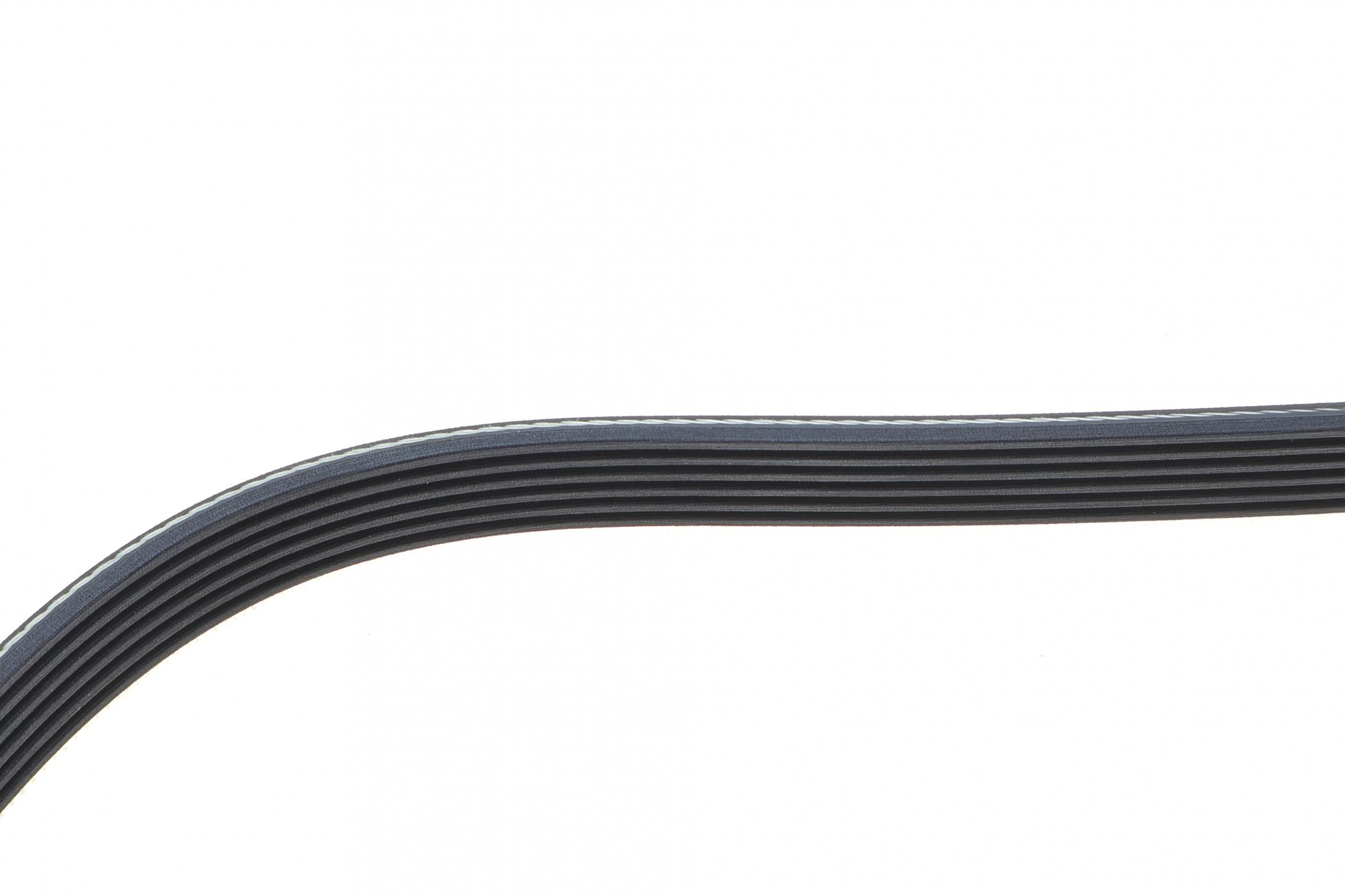 KPV179 DAYCO