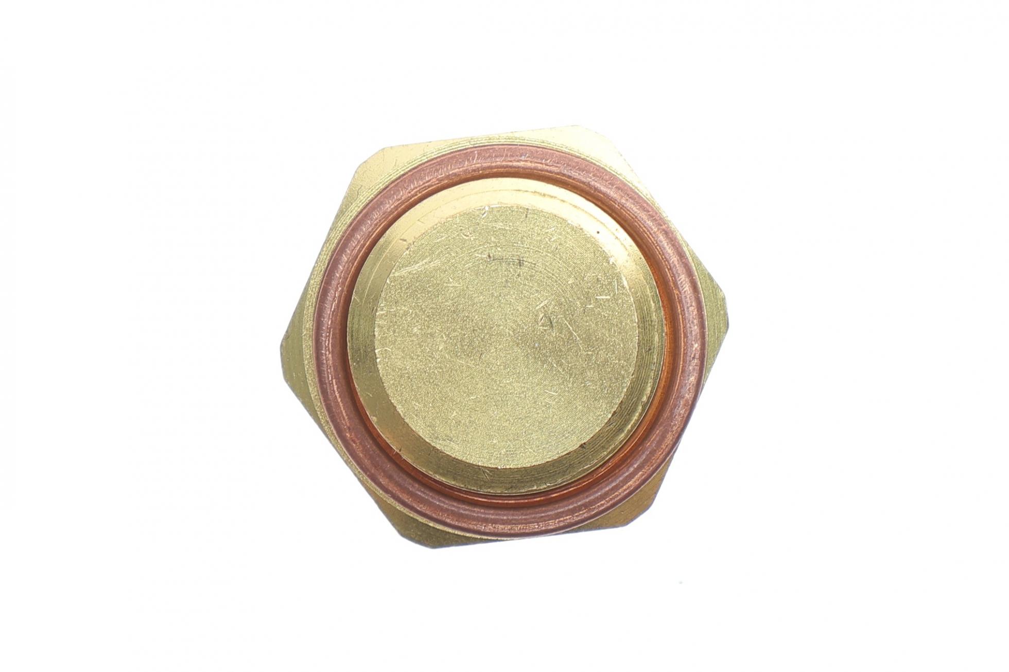 TS10298 DELPHI