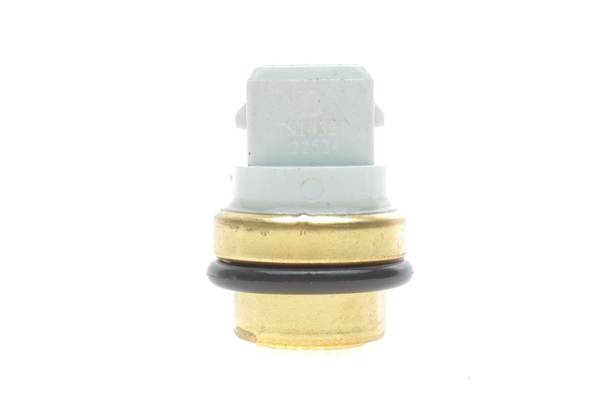 TS10321 DELPHI
