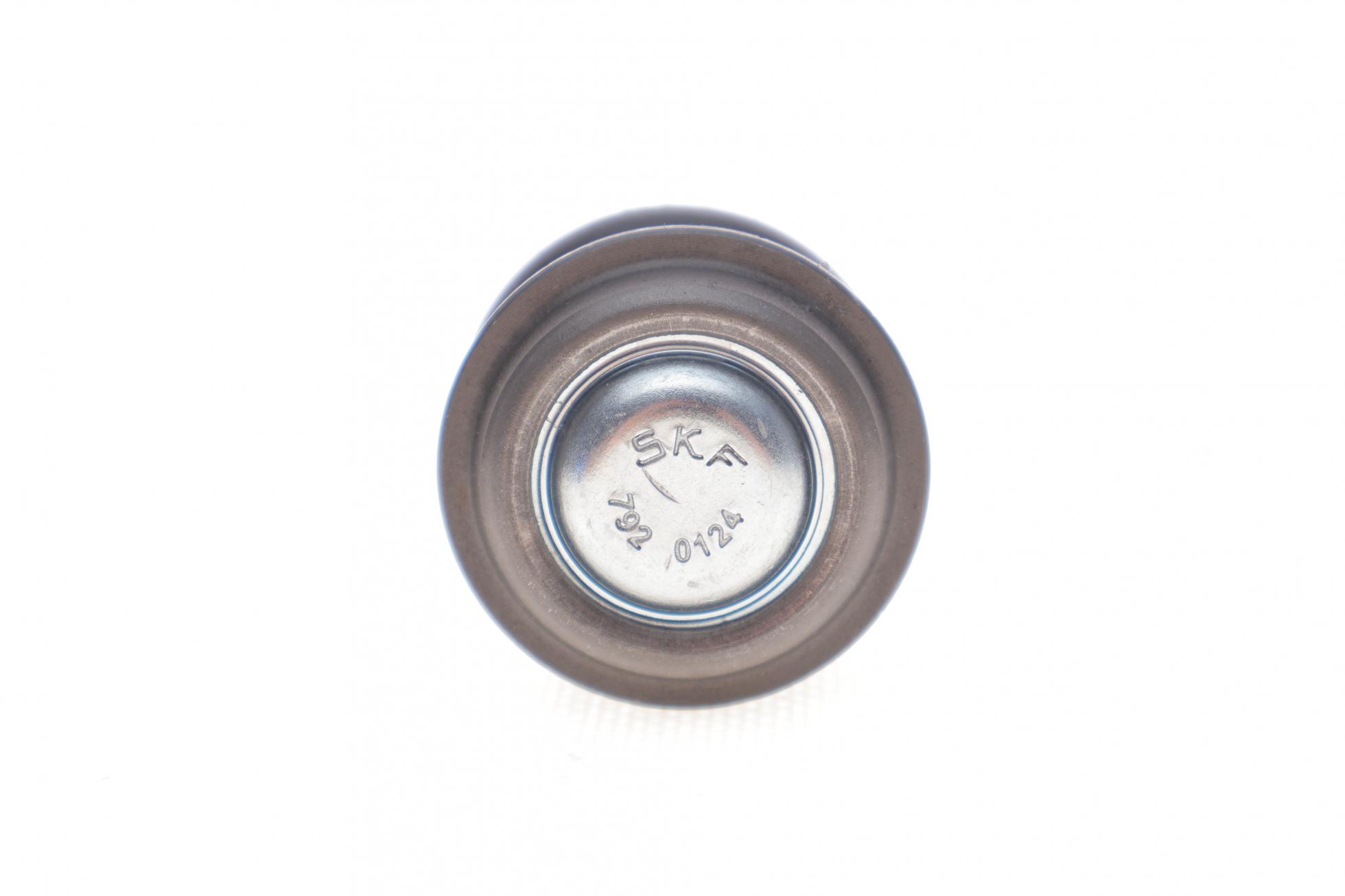VKDS812009 SKF