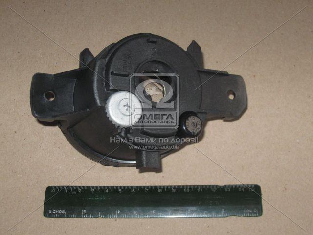195719A12B TYC