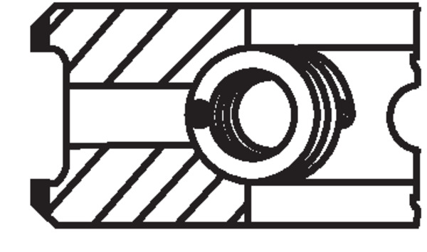 03040V0 MAHLE