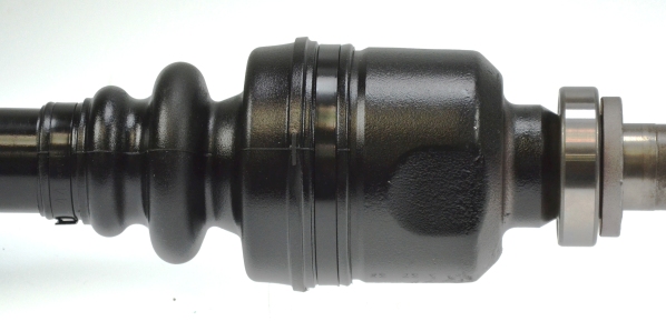 21730 SPIDAN