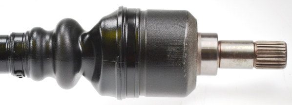 21731 SPIDAN