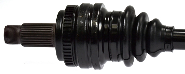 24362 SPIDAN