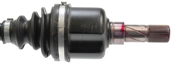 24507 SPIDAN