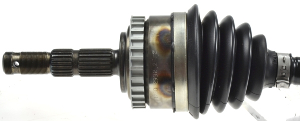 24971 SPIDAN