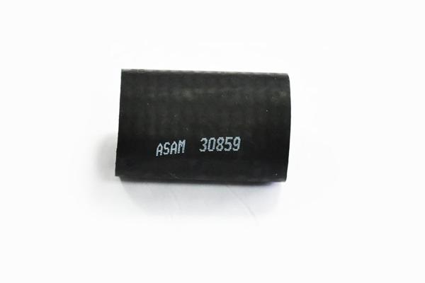 30859 ASAM