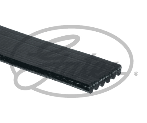 6PK2131 GATES