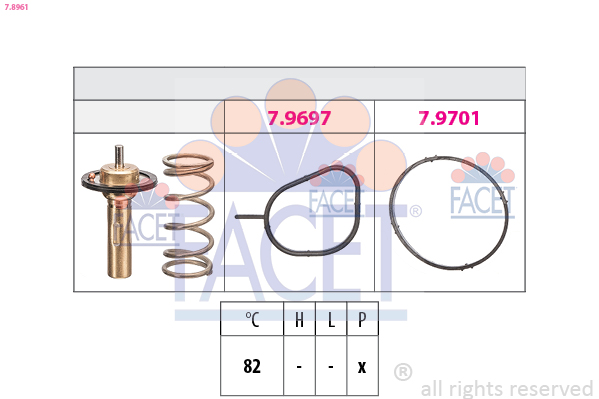 78961 FACET