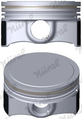 8743550000 NURAL