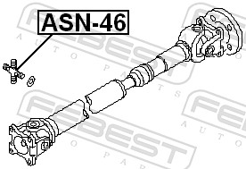ASN46 FEBEST
