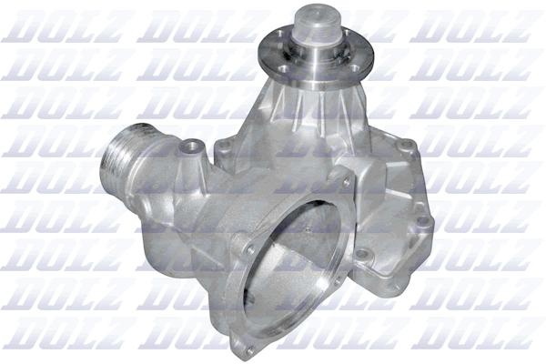 B317 DOLZ