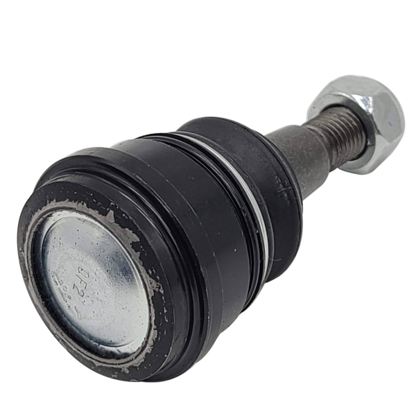 CB0261 CTR