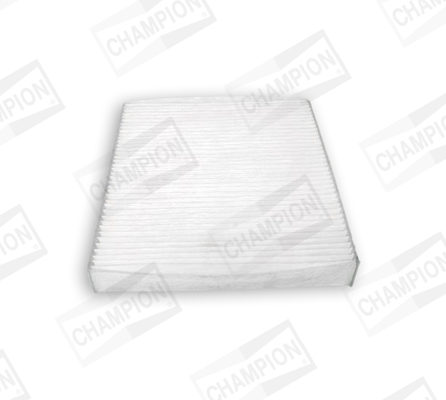 CCF0475 CHAMPION