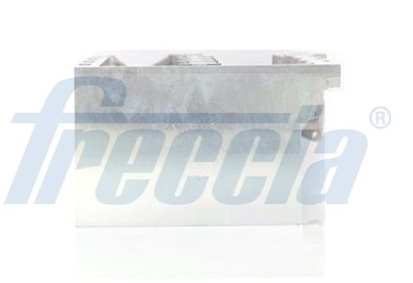 CH171017 FRECCIA