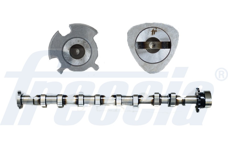 CM052246 FRECCIA