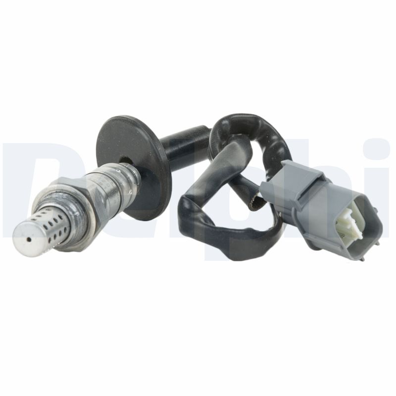 ES2005812B1 DELPHI