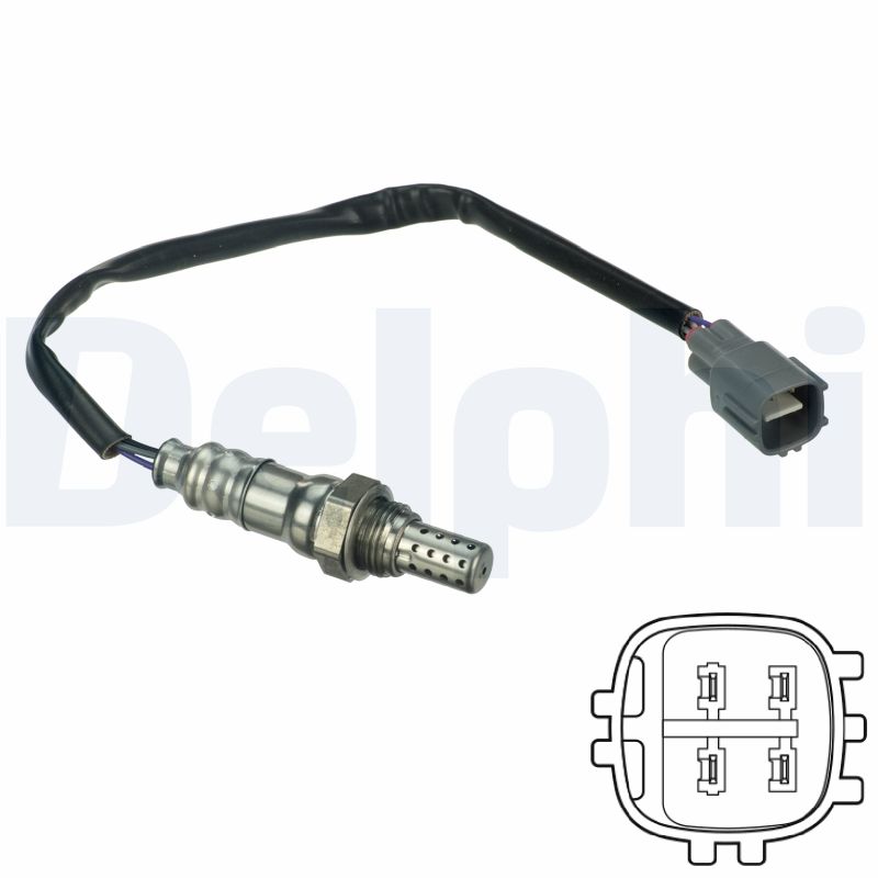 ES2011812B1 DELPHI