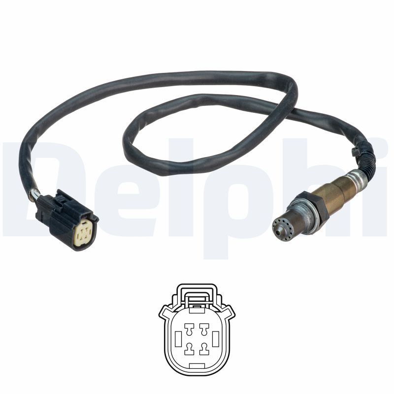 ES2112612B1 DELPHI