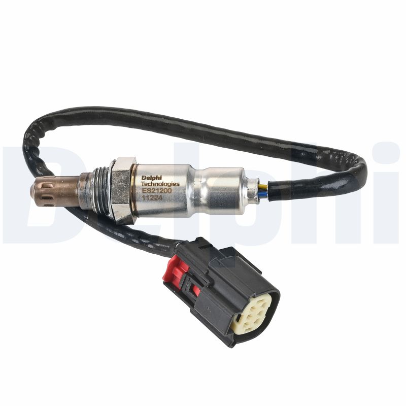 ES2120012B1 DELPHI