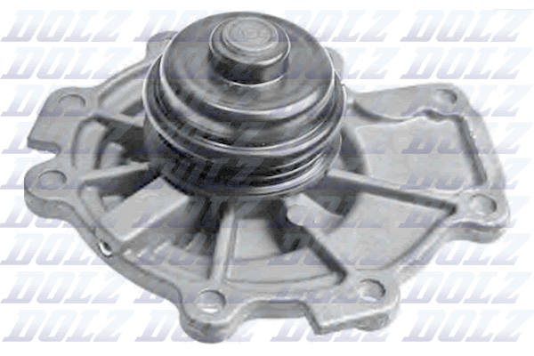 F142 DOLZ