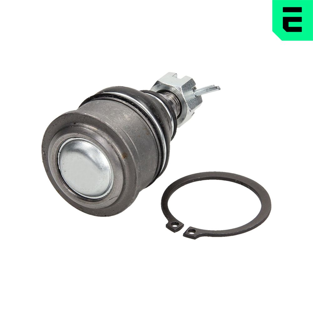 G31099 OPTIMAL