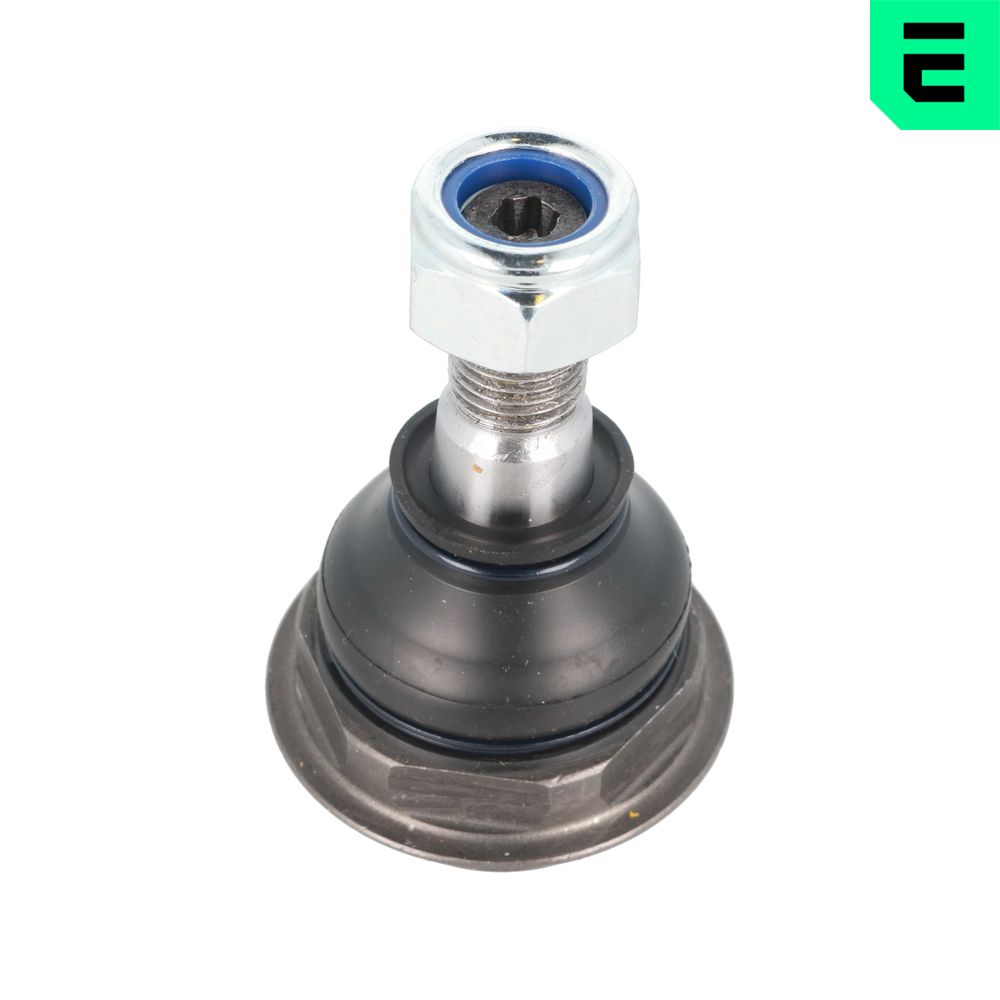 G31126 OPTIMAL