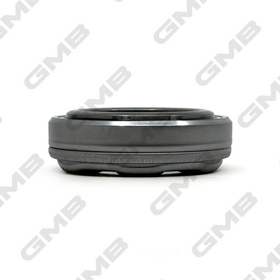 GC01010 GMB