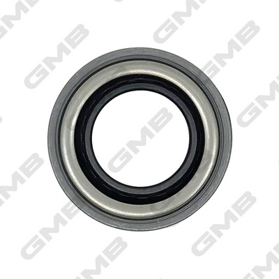 GC18010 GMB