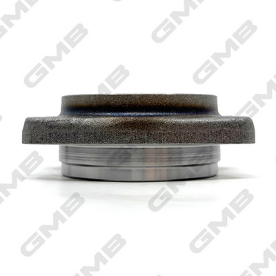 GH21940 GMB