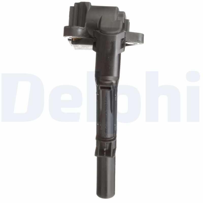 GN1069012B1 DELPHI