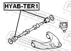 HYABTER1 FEBEST