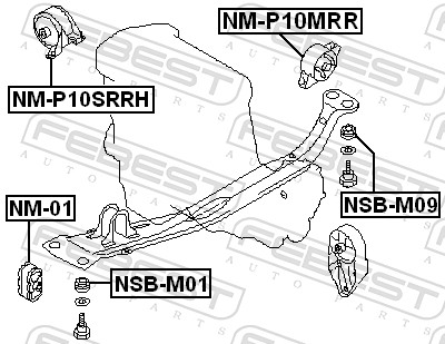 NMP10MRR FEBEST