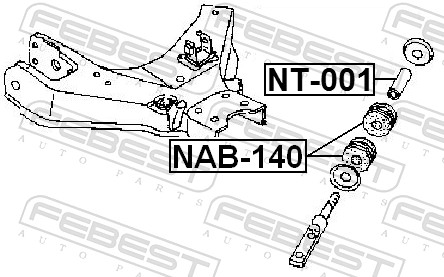 NT001 FEBEST