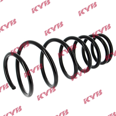 RG5009 KYB