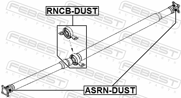 RNCBDUST FEBEST