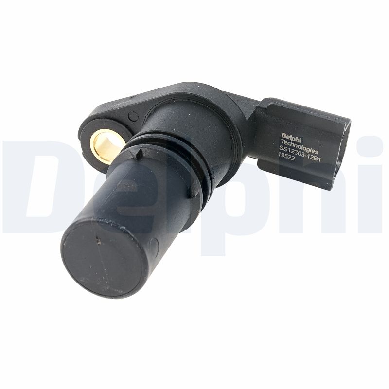 SS1230312B1 DELPHI