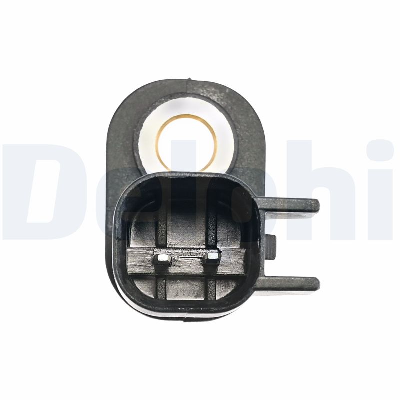 SS2132112B1 DELPHI