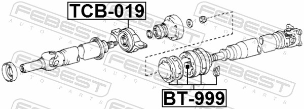 TCB019 FEBEST