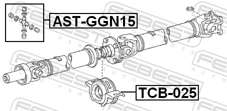 TCB025 FEBEST