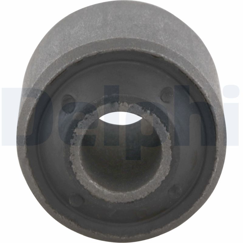 TD401W DELPHI