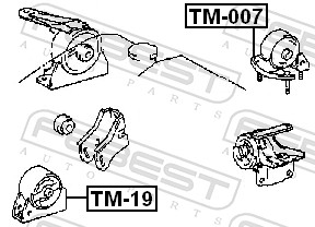TM007 FEBEST